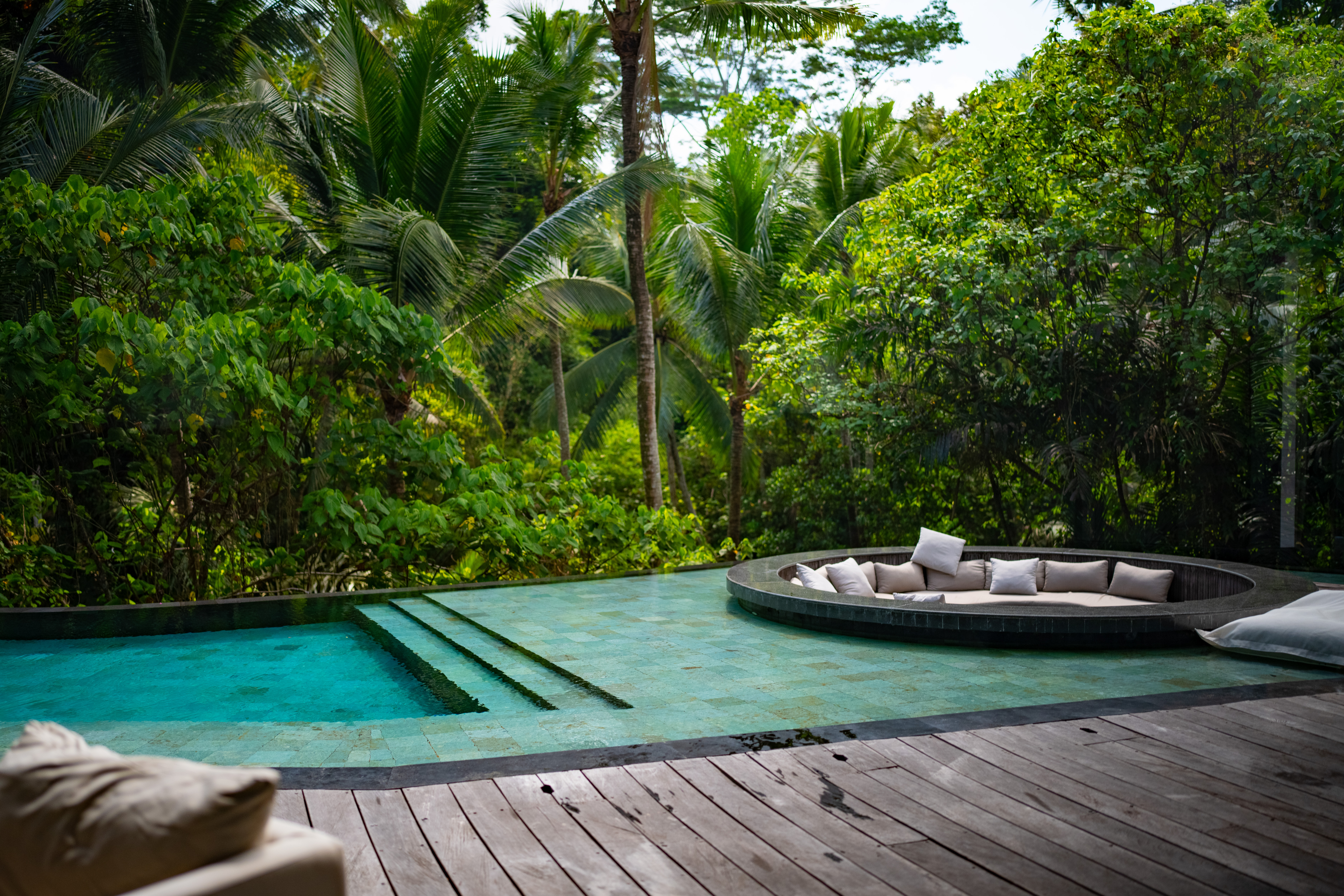 Pool in the jungle